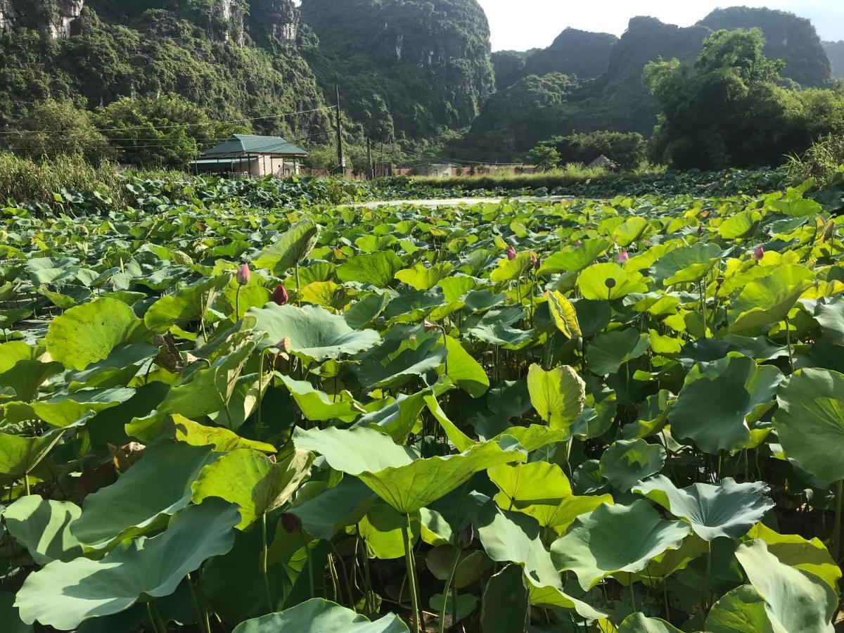Trang An Lim Garden Otel Xuan Son Dış mekan fotoğraf
